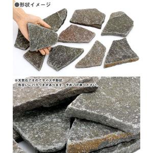 爬虫類用バスキングスポット ウォームプレート ...の詳細画像1