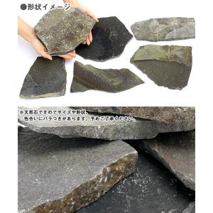 形状お任せ 爬虫類用バスキングスポット 〜ウォ...の詳細画像1