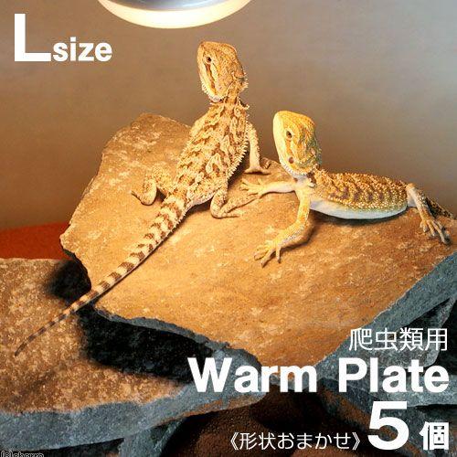 爬虫類用バスキングスポット　ウォームプレート　Ｌサイズ　約２０〜３０ｃｍ　５個　形状お任せ　爬虫類　...
