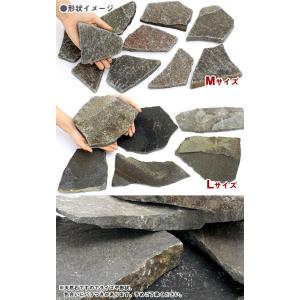 爬虫類用バスキングスポット 〜ウォーム・プレー...の詳細画像1
