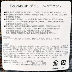 ラウディブッシュ デイリーメンテナンス(ミニ)...の詳細画像1