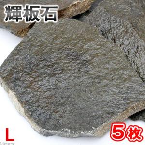 チャーム（charm） 輝板石 Mサイズ 約10〜20cm 2枚 形状お任せ