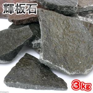 形状お任せ　輝板石　サイズミックス（約３〜２０ｃｍ）　３ｋｇ　国産品　３０ｃｍ水槽向け　アクアリウム　テラリウム　レイアウト素材