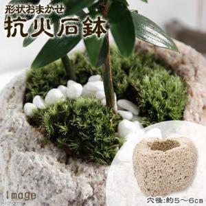 鉢　形状お任せ　抗火石鉢　小　穴径５〜６ｃｍ（１個）　ミニミニ盆栽鉢｜chanet