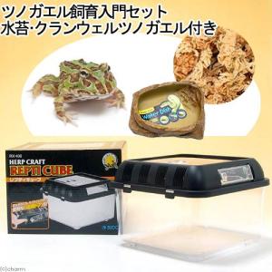 チャーム（charm） （両生類）クランウェルツノガエル飼育入門セット