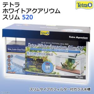 《終売》テトラ　ホワイトアクアリウム　スリム　５２０　５２ｃｍ水槽セット　初心者　お一人様１点限り