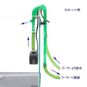 60Hz ゼンスイ ZR-75E チャームオリ...の詳細画像4