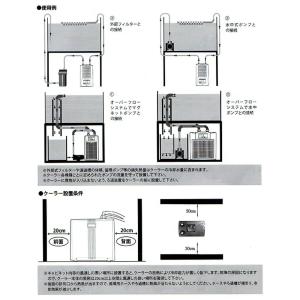 50Hz ゼンスイ ZC-100α+リオプラス...の詳細画像2