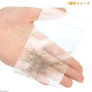 メヒシバの種(1袋)猫草 うさぎ 犬 猫 おや...の詳細画像1
