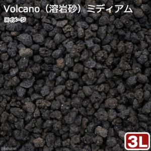 No．116 Volcanoミディアム 3リットル お一人様6点限り