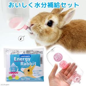マルカン マルカン うさぎのウォーターボトル 水もれピタッ