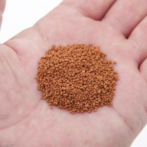B-blast 究極の餌 ベタ用 10g ベタ 顆粒の詳細画像1