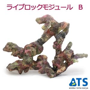 レッドシー ATS ライブロックモジュール E (W390×D140×H120) : G3 AQUA