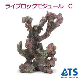 ライブロックモジュール Ｃ アクアリウム 擬岩の商品画像