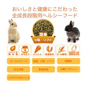 国産 うさぎの食事 1.2kg 全成長段階用 ...の詳細画像1