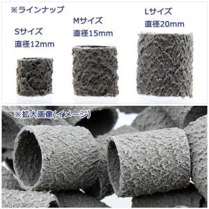 バクテリアリング プラスワン Sサイズ 直径1...の詳細画像1