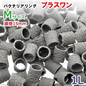 送料無料】コトブキ工芸 業務用リングろ材20kg袋 : ヤマゲンペット