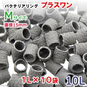 ゼンスイ バクテリアホールド Lサイズ(20Φ) 10L(5L×2） 送料無料 一部
