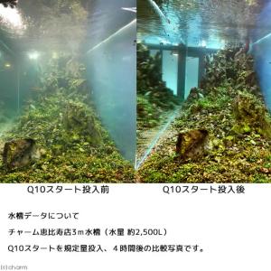 魚・エビに優しいカルキ抜き Q10スタート 淡...の詳細画像4