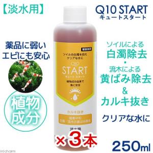 魚・エビに優しいカルキ抜き　Ｑ１０スタート　淡水用　２５０ｍＬ３本セット　植物由来　白濁除去水槽　立ち上げ　初期　解消　金魚　ソイル｜チャーム charm ヤフー店