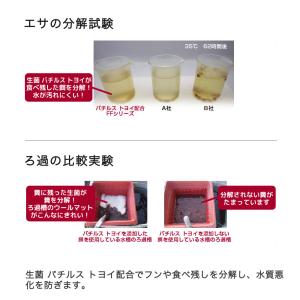 ff num300 フラワーホーン用 スティッ...の詳細画像2