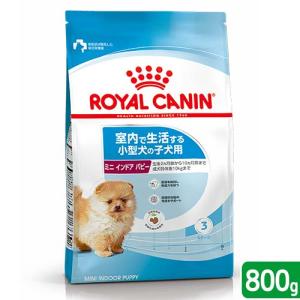 �q���p800g