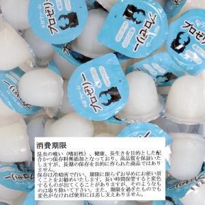 昆虫ゼリー プロゼリー(16g 50個入り)カ...の詳細画像2