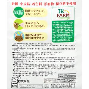 三晃商会 ベジドロップ キャロット 50g お...の詳細画像3