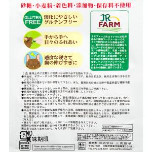 三晃商会 ベジドロップ ビーツ 50g デグー...の詳細画像3