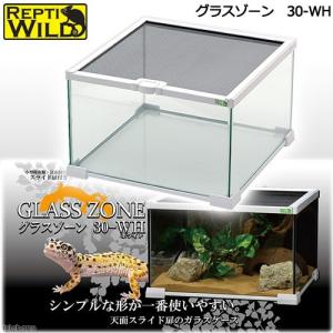 GLASS TERRARIUM ヒョウモントカゲモドキ・リクガメ用　爬虫類ゲージ Amazon.co.jp: GEX EXOTERRA レプテリア レオパ飼育キットM