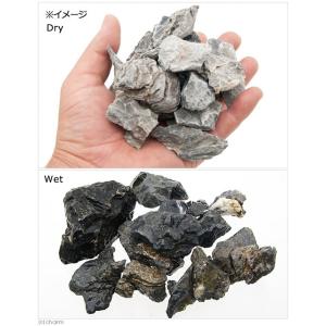 カミハタ プチアクアの石 青華石 500g 小...の詳細画像2