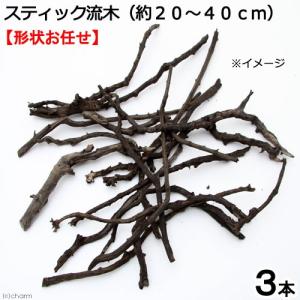 《終売》形状お任せ　煮込み済み　スティック流木（約２０〜４０ｃｍ）　３本セット　アクアリウム　テラリウム　レイアウト素材