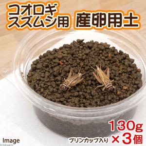 コオロギ・スズムシ用 産卵用土 3個セット コオ...の商品画像