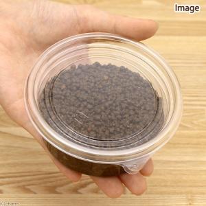 コオロギ・スズムシ用 産卵用土 3個セット コ...の詳細画像2