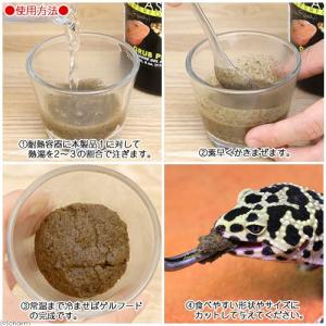 レパシー スーパーフード GRUB PIE グ...の詳細画像1