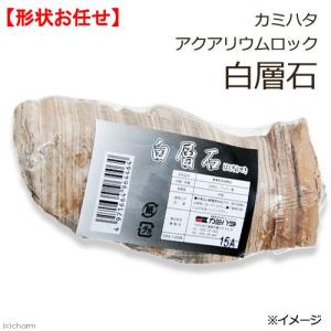 カミハタ　アクアリウムロック　白層石　形状お任せ｜チャーム charm ヤフー店