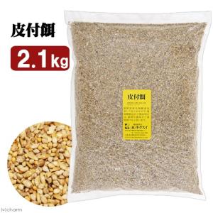 キクスイ 皮付餌 L 2.1kgの商品画像