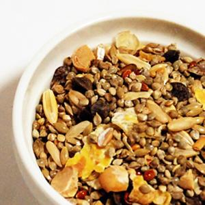 キクスイ 赤オカメ・ラブバード専科 L 2.1...の詳細画像1