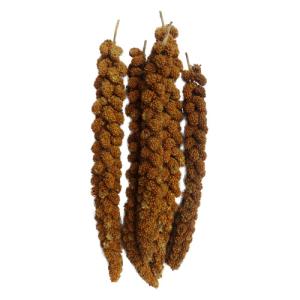 NPF エクセル 赤粟の穂 130gの詳細画像2