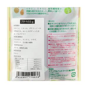 NPF 小動物のおいしいおやつ ブドウ 55gの詳細画像1
