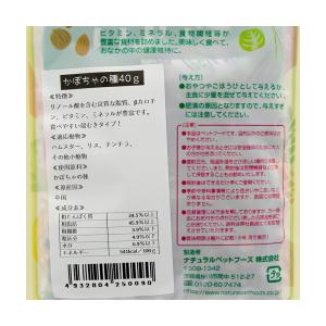 NPF 小動物のおいしいおやつ かぼちゃの種 40gの詳細画像1