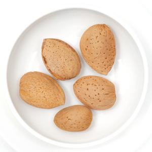 NPF 小動物のおいしいおやつ 殻付きアーモン...の詳細画像2