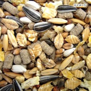 NPF ハーティー ハムスター・リス 900gの詳細画像2