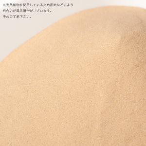 NPF Sand club チンチラ 浴び砂 ...の詳細画像1