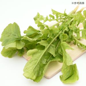 国産 だいこんの葉 10g 小動物用のおやつ ...の詳細画像2