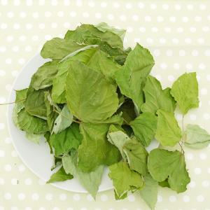 国産 くずの葉 10g 小動物のおやつの詳細画像2