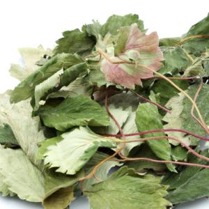 国産 いちごの葉 10g 小動物のおやつ うさ...の詳細画像1