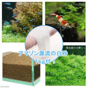 水草とシュリンプの土 こげ茶 3．3kg  ＋ アマゾン川源流の白砂 1kg