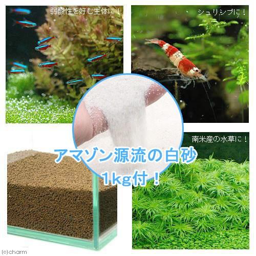 水草とシュリンプの土　こげ茶　３．３Ｌ　（細粒タイプ）＋アマゾン川源流の白砂　１ｋｇ