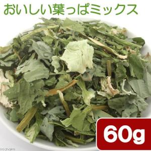 国産 おいしい葉っぱミックス 60g 小動物用のおやつの商品画像